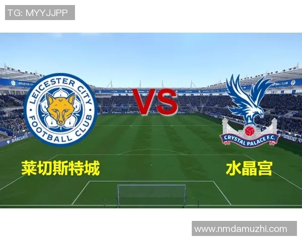 莱切斯特城主场迎战水晶宫争夺英超宝贵积分的精彩对决